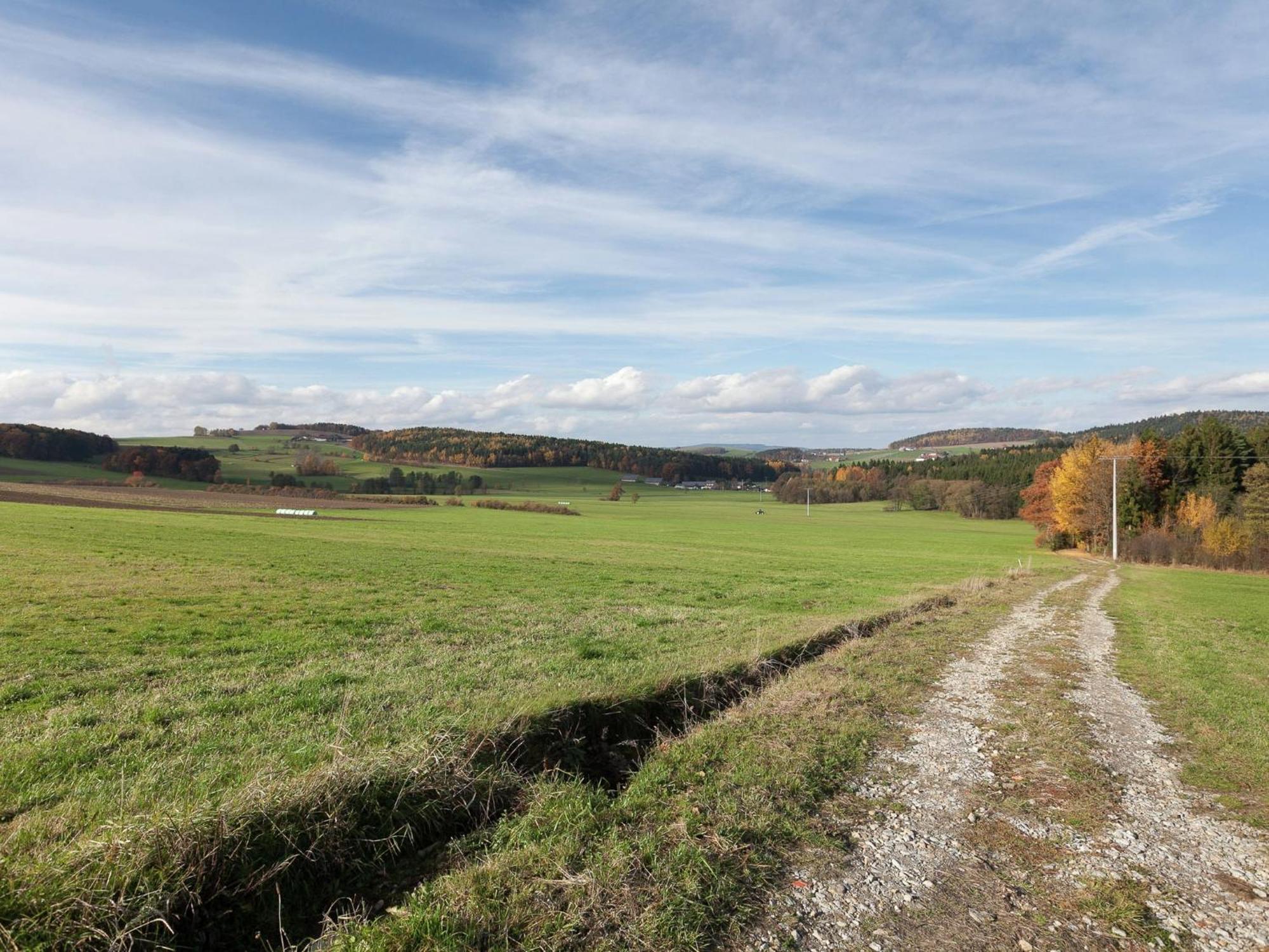 Flat On A Farm Near The Arber Ski Area نيوكيرتشن بيم هيليغين بلوت المظهر الخارجي الصورة