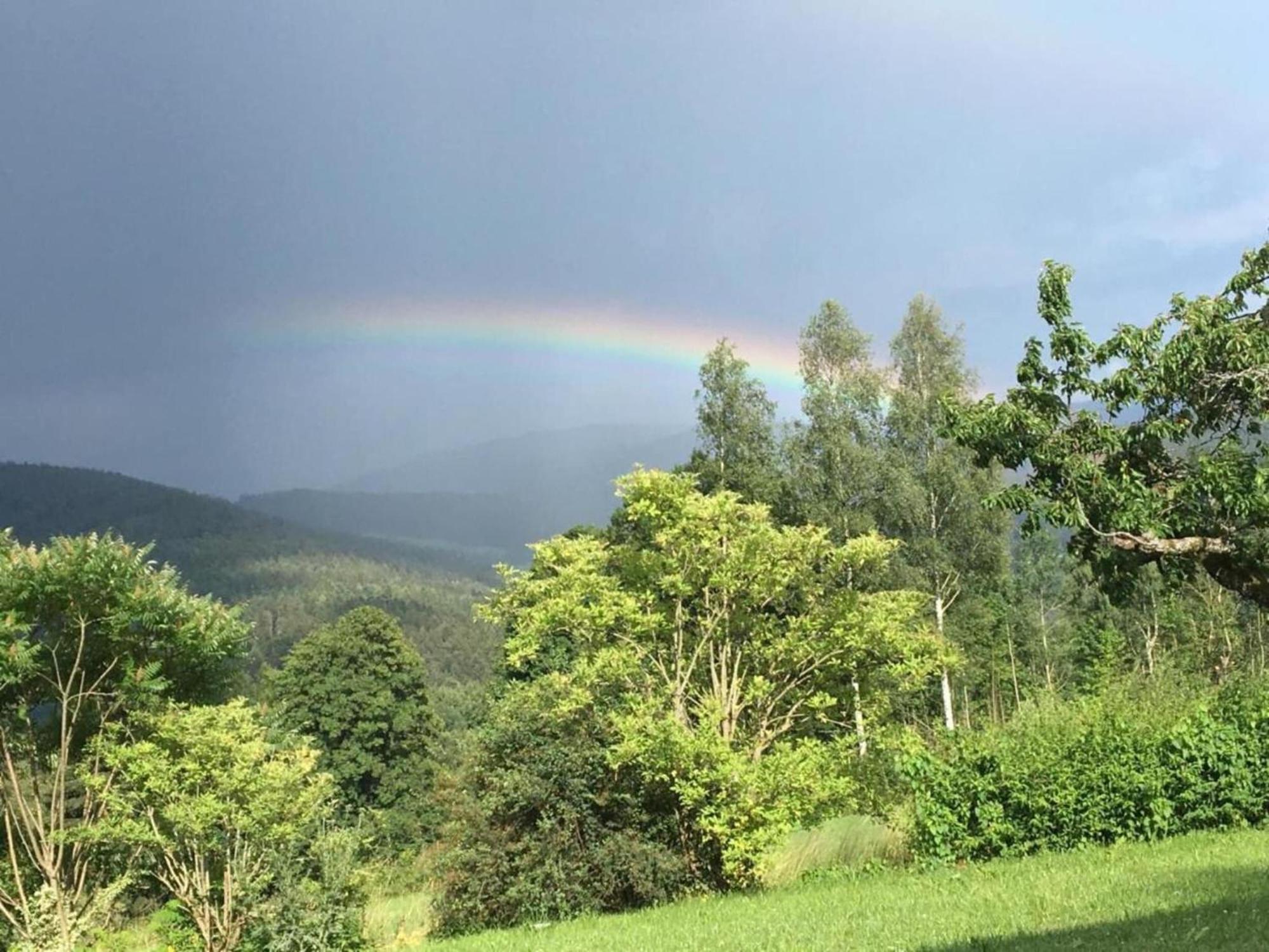 Flat On A Farm Near The Arber Ski Area نيوكيرتشن بيم هيليغين بلوت المظهر الخارجي الصورة
